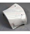 Supporto codone SBK Vetroresina BMW S 1000 RR 2015 - 2018
