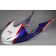 Coperchio Serbatoio Con Pannelli Integrati Tessuto Rinforzato Carbonio BMW S 1000 RR - HP4 2012 - 2014 S 1000 RR 2010 - 2011