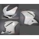Carenatura Anteriore Racing DUCATI PANIGALE 959 / 1299
