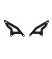 COPPIA PARATACCO IN CARBONIO SPIDER BMW S1000RR 15-18