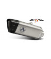 TERMINALE ARROW PISTA CARBON BMW S 1000 R 2021-2023