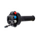COMANDO GAS JETPRIME CON PULSANTIERA INTEGRATA PER BMW R 1200 GS 2013-2018